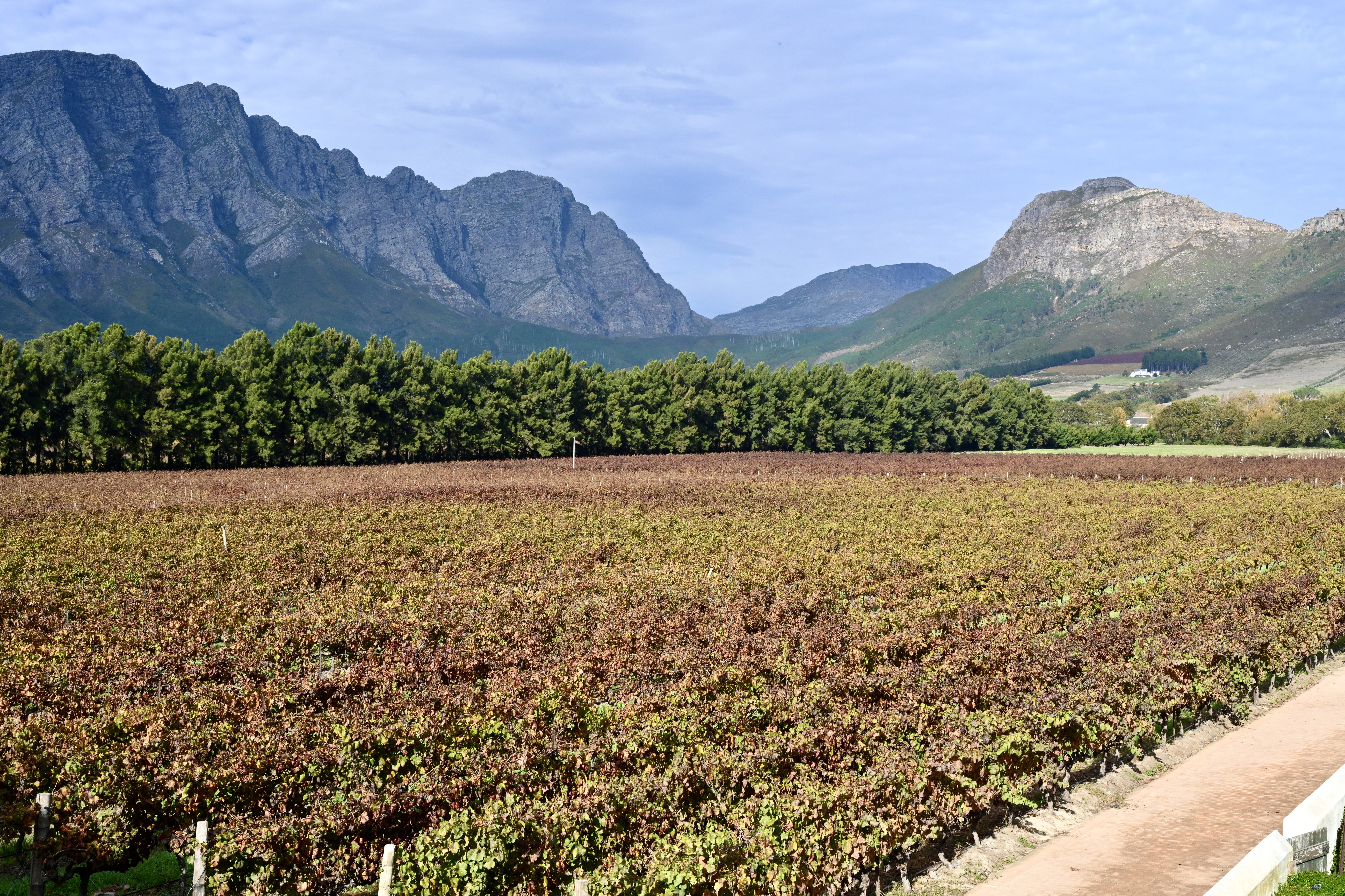 Franschhoek – A produção de vinhos da África do Sul