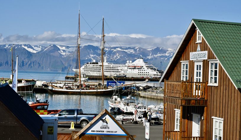Avistagem de baleias em Husavik