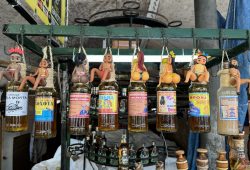 Começando a conhecer Belém do Pará