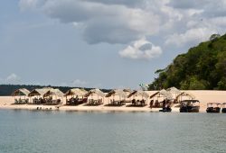 A Fordlândia e outros megaprojetos econômicos da Amazônia