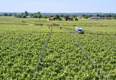 Saint-Émilion: Vinhos, Religião e Tradições Medievais