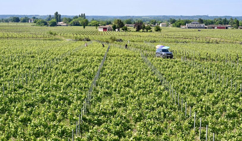 Saint-Émilion: Vinhos, Religião e Tradições Medievais