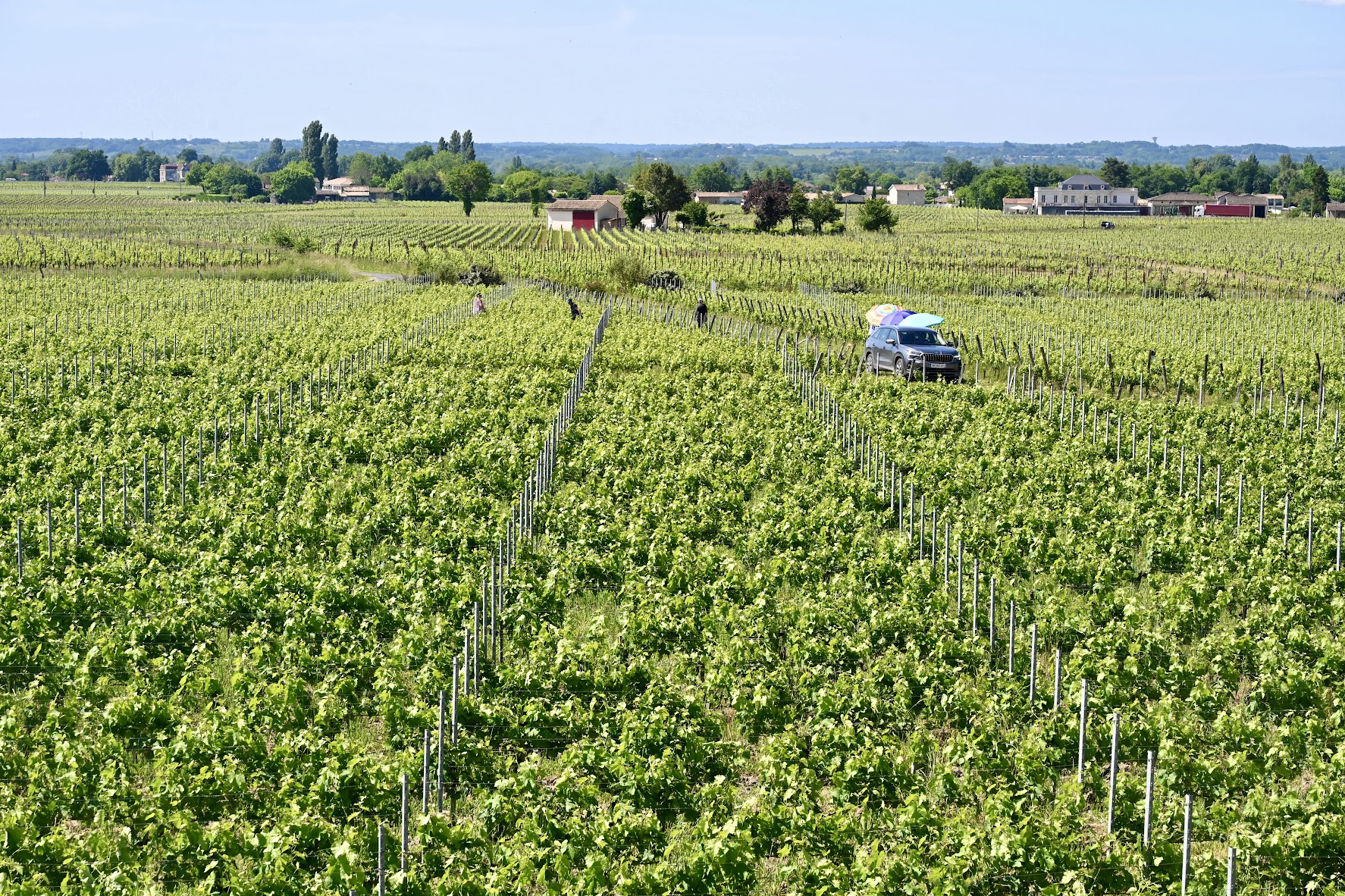 Saint-Émilion: Vinhos, Religião e Tradições Medievais