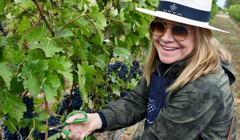 Vindima na Vinícola UVVA: Uma Experiência Inesquecível na Chapada Diamantina