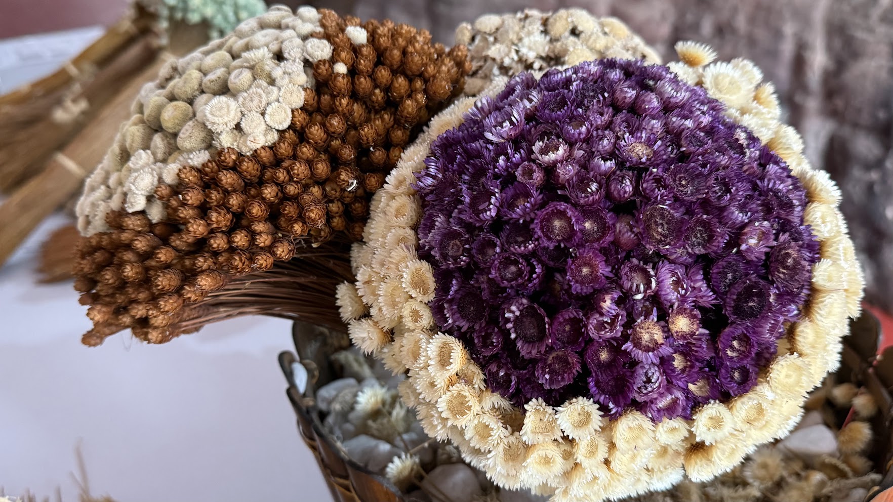 Chapada Diamantina: Conheça o Projeto Sempre-viva e a Cachoeira do Tiburtino em Mucugê