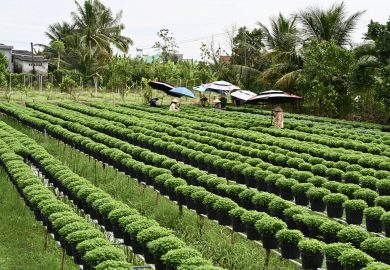 O delta do Rio Mekong