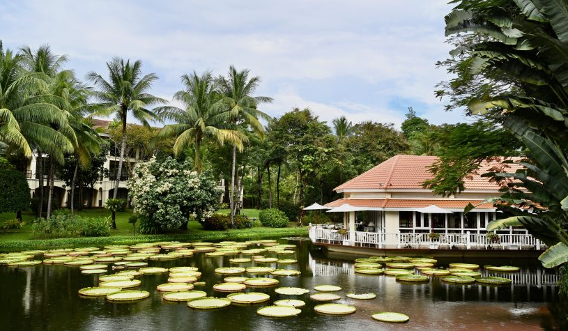 Siem Reap, o portal de entrada para os Templos de Angkor