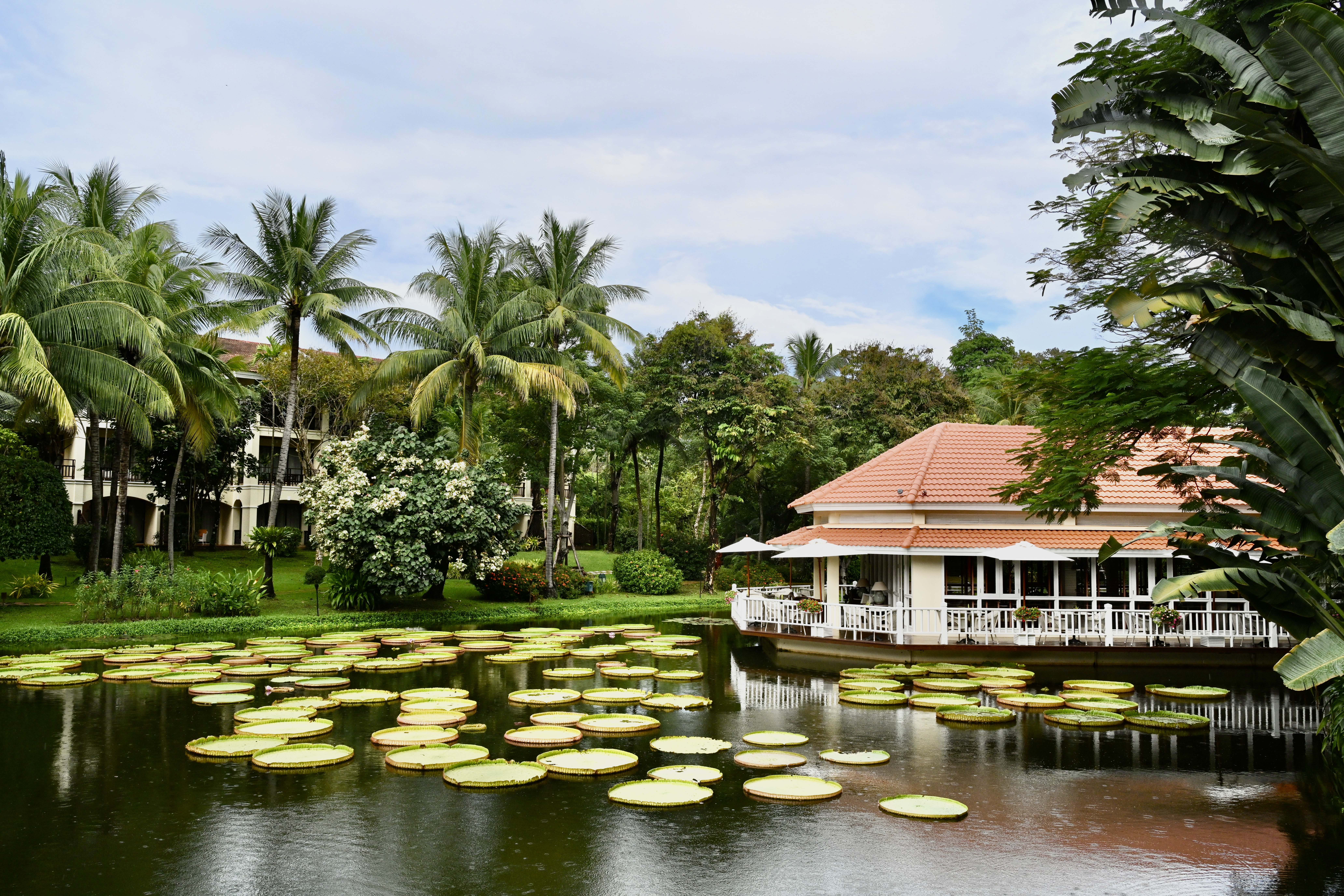 Siem Reap, o portal de entrada para os Templos de Angkor