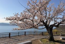 A ilha de Shikoku
