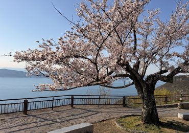 A ilha de Shikoku