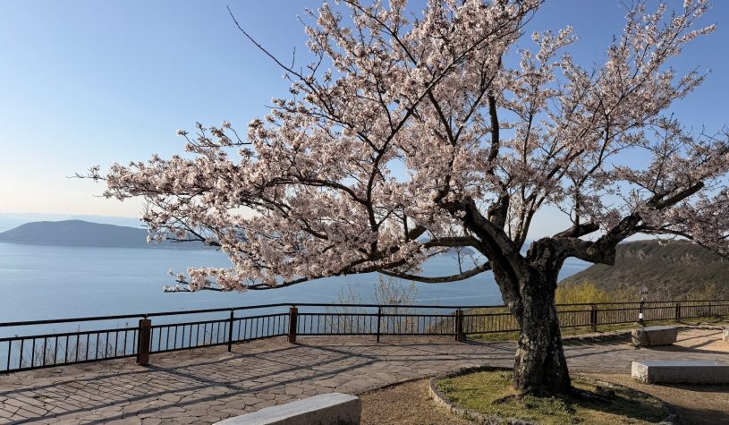 A ilha de Shikoku